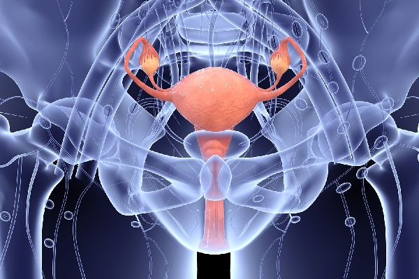 Reproductive Health
